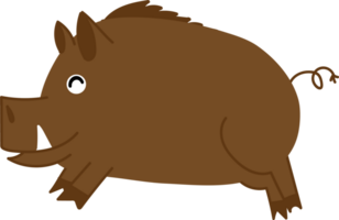 carino cinghiale ritagliare png