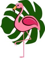 Flamingo, illustration, vector on white background.