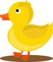 Yellow little duck, illustration, vector on white background.