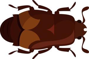 Sap beetle, illustration, vector on white background