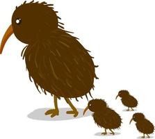 una ilustración de pájaros kiwi, vector o color.
