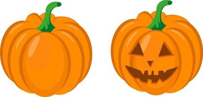 Halloween pumpkin ,illustration, vector on white background.