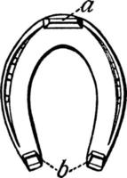 Horseshoe, vintage illustration. vector