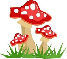Mushrooms, illustration, vector on white background.