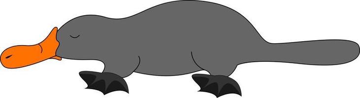 Grey platypus, illustration, vector on white background.