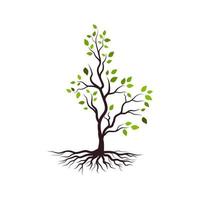 Tree branch vector ilustration design