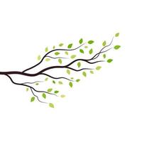 Tree branch vector ilustration design