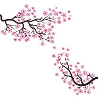 árbol sakura flor ilustración vector