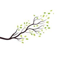 Tree branch vector ilustration design