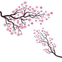 tree sakura flower illustration vector