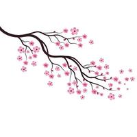 Sakura Beauty flower Vector icon