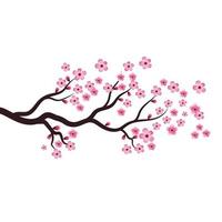 Sakura Beauty flower Vector icon