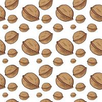 Walnut pattern, illustration, vector on white background.