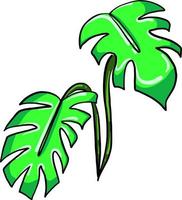 Palm leaf, illustration, vector on white background