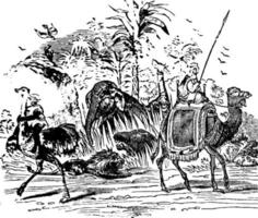Africa scene, vintage illustration vector