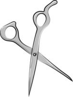 Scissors, illustration, vector on white background.