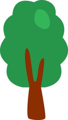 Botany tree, illustration, vector on a white background.