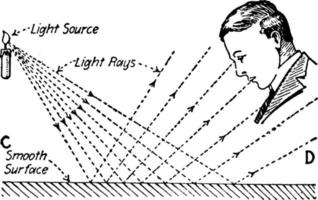 Reflection of Light from a Smooth Surface, vintage illustration. vector