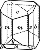 Orthoclase, vintage illustration. vector