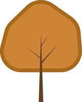 Pecan tree, illustration, on a white background. vector