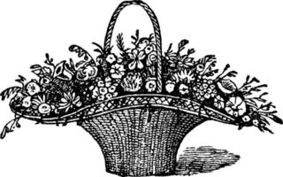 Swiss Moss Basket, vintage illustration. vector