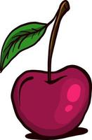 Pink cherry illustration on white vector