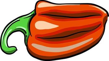 Pimiento naranja, ilustración, vector sobre fondo blanco.