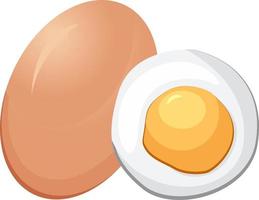 Fried egg, illustration, vector on white background