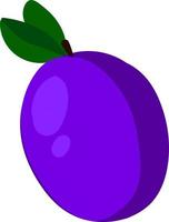 Purple flat prune, illustration, vector on white background.