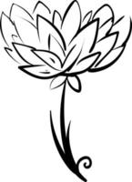 Peony drawing, illustration, vector on white background.