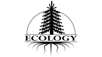 Fir tree with roots ecological synbol vector