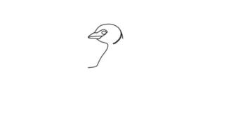 video de 4k de dibujo automático de una sola línea continua de pato adorable para derechos de autor de animales y naturaleza. pequeño y lindo concepto de mascota cisne para parque público. ilustración gráfica de video de un solo sorteo