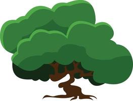 A green tree grows in summer. vector