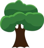 A green tree grows in summer. vector