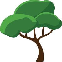 A green tree grows in summer. vector