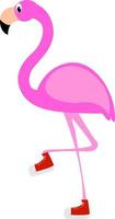 Flamingo, illustration, vector on white background.