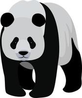 panda grande, ilustración, vector sobre fondo blanco