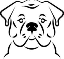 Bulldog dulce, ilustración, vector sobre fondo blanco.