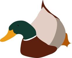 Old duck, illustration, vector on white background.