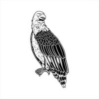 vector illustration of eagle character