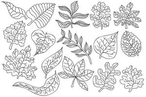 Different types of leaves drawn in black outline, which are the symbol of spring and autumn, are designed for cards, coloring, fabric printing and you can use them in different cases. vector