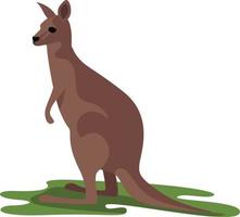 Kangaroo animal, illustration, vector on white background