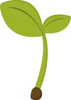 Plant from earth, illustration, vector on white background.