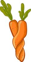 A carrots twisted together, vector or color illustration.