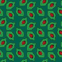 Ladybug on leafs pattern , illustration, vector on white background