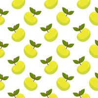 Green apple ,seamless pattern on white background. vector