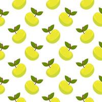 Green apple ,seamless pattern on white background. vector