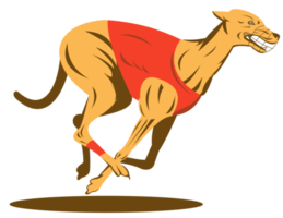 greyhound dog racing png