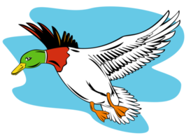 Stockente fliegt png