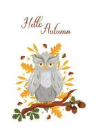 Autumn postcard with owl on branch, acorns and leaves vector